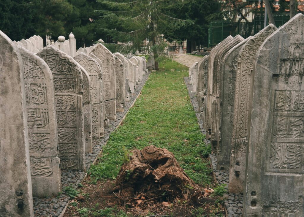 Tree Trunk Between Gravestones